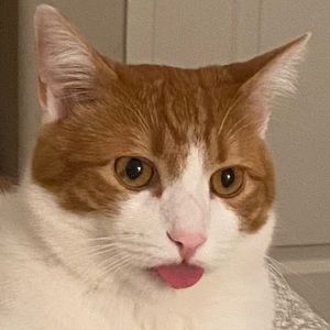 Meet your Posher, Teddy